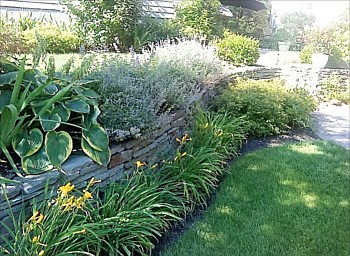 Landscape Maintenance